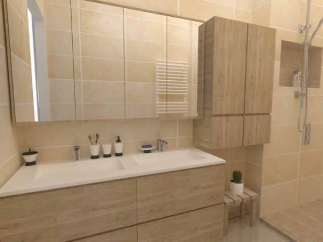 Rénovation d’une salle d’eau et de WC à Aix-en-Provence