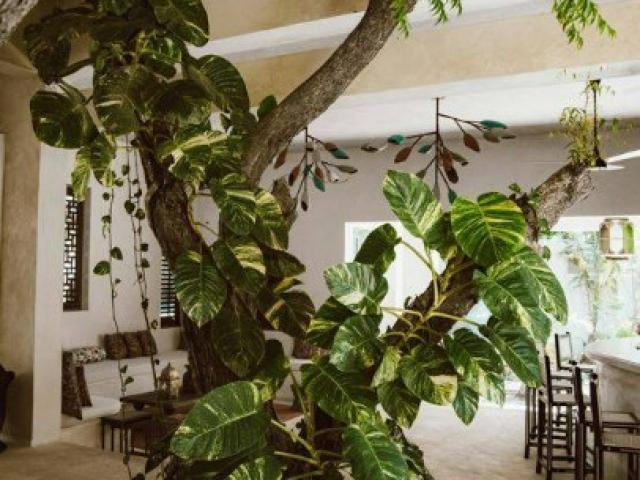 Aménagement d’intérieur éco-responsable : allier design, bien-être et durabilité